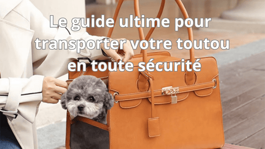 Sac a dos chien : Le guide ultime pour transporter votre toutou en toute sécurité - ECO HARMONIE CANIN