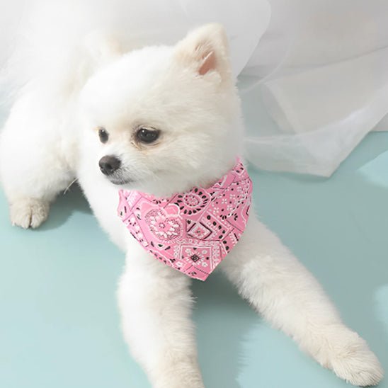 Bandana pour chien | ajustable - ECO HARMONIE CANIN