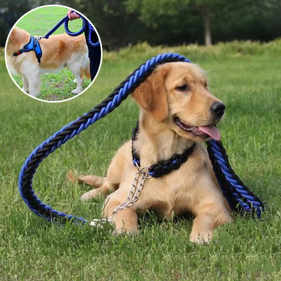 Laisse pour chien | Tressée - ECO HARMONIE CANIN