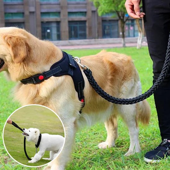 Laisse pour chien | Tressée - ECO HARMONIE CANIN