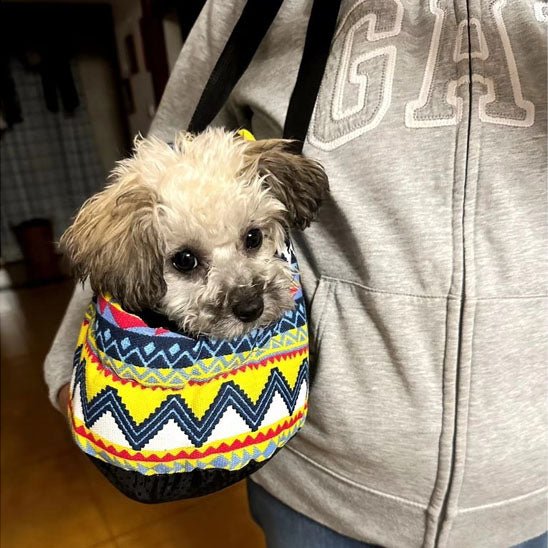 Sac a dos chiens | Classique - ECO HARMONIE CANIN