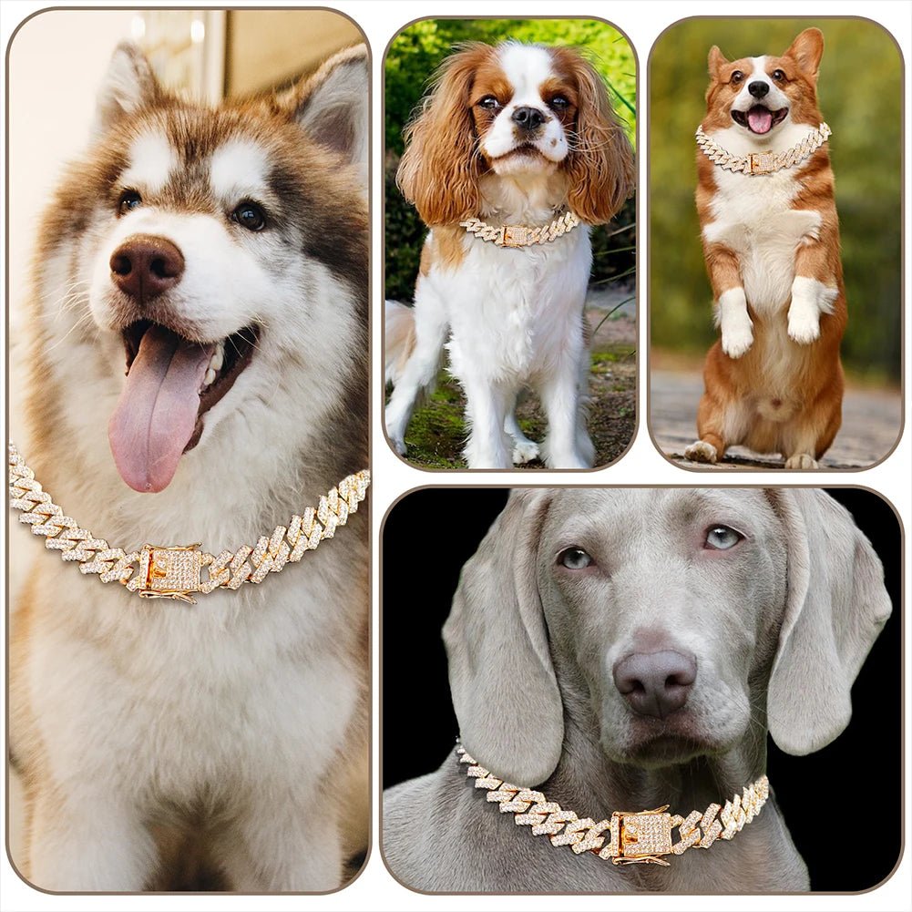 Collier chien | chaîne bijoux - ECO HARMONIE CANIN