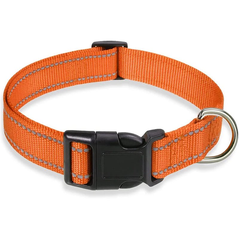 Collier chien | réfléchissant - ECO HARMONIE CANIN