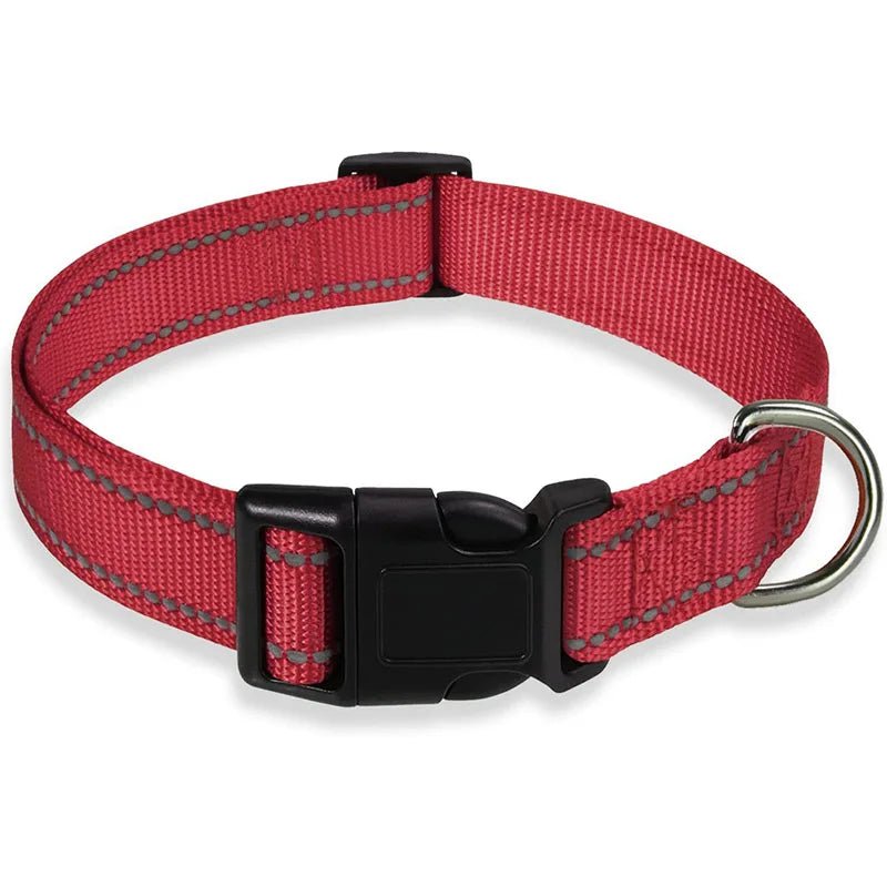 Collier chien | réfléchissant - ECO HARMONIE CANIN