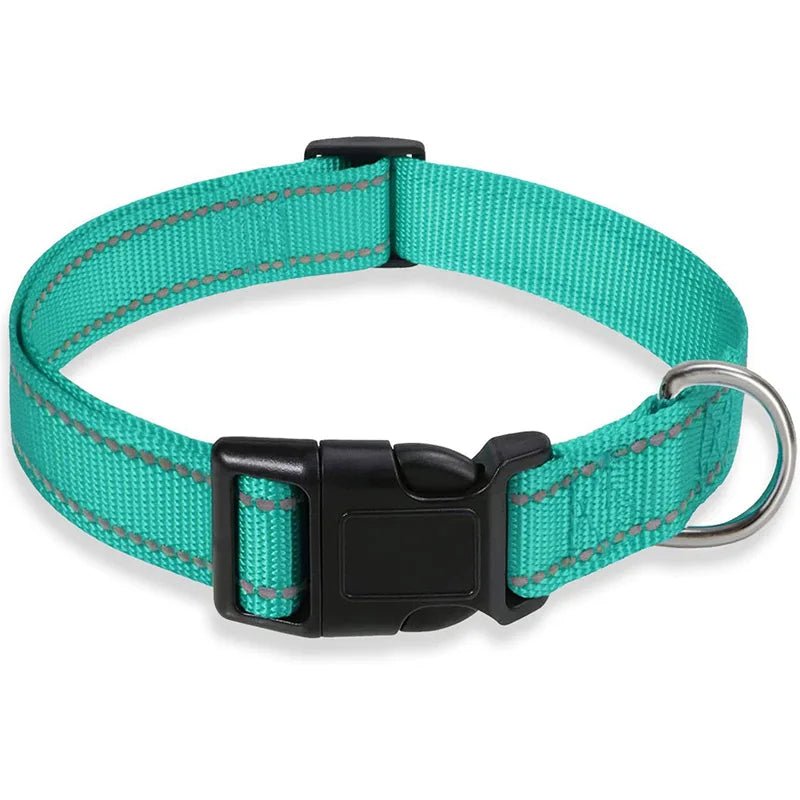 Collier chien | réfléchissant - ECO HARMONIE CANIN