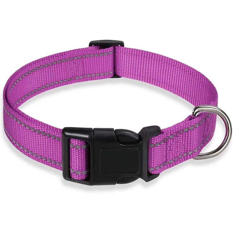 Collier chien | réfléchissant - ECO HARMONIE CANIN