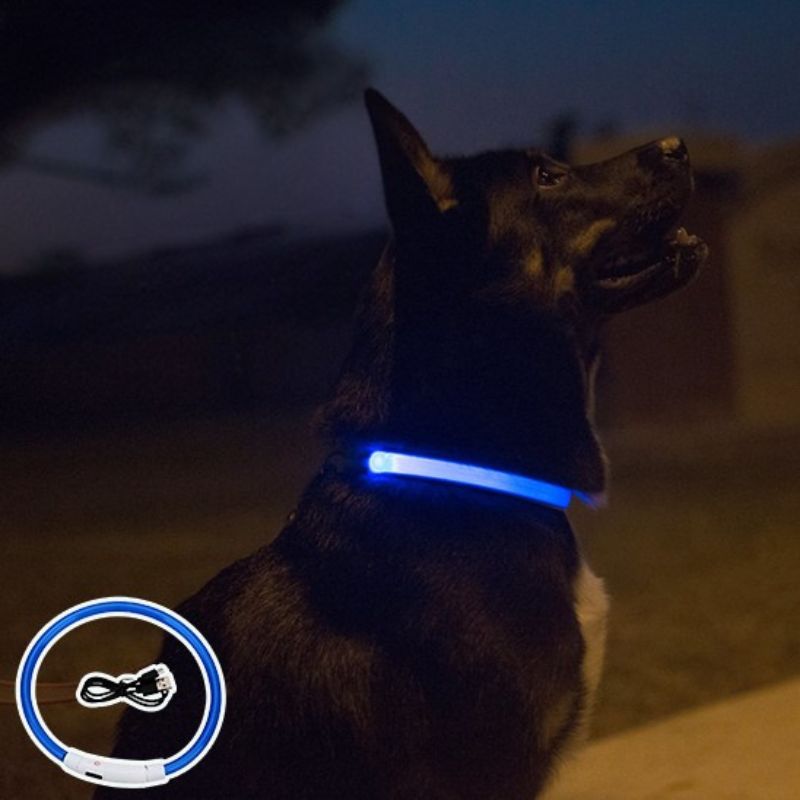 Collier lumineux chien |Rechargeable USB - ECO HARMONIE CANIN