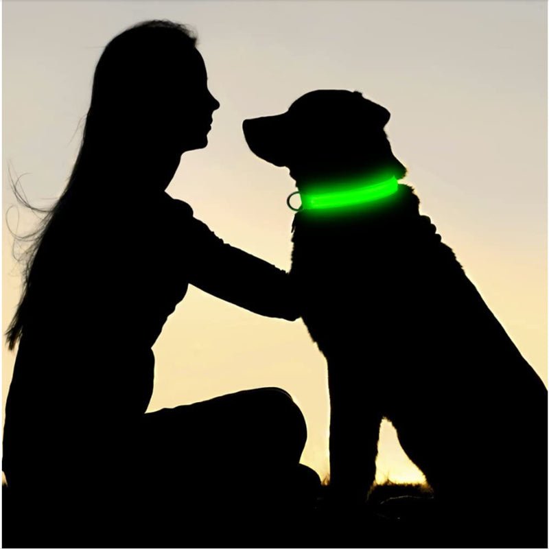 Collier lumineux pour chien |à led - ECO HARMONIE CANIN