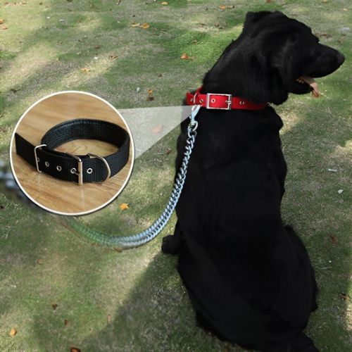 Collier pour chien | Nylon - ECO HARMONIE CANIN