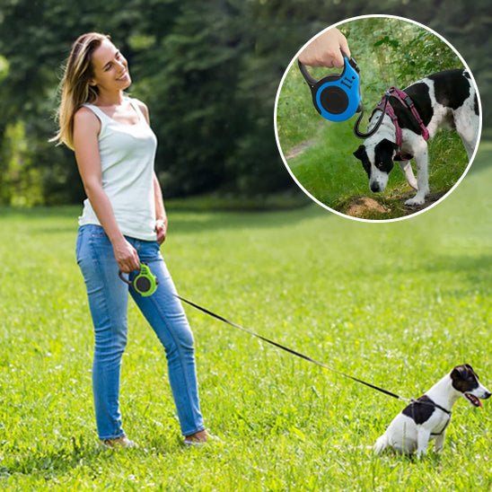 Laisse chien rétractable - ECO HARMONIE CANIN