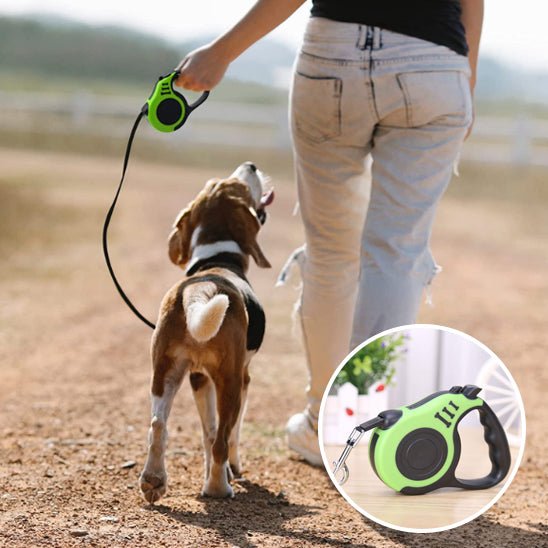 Laisse chien rétractable - ECO HARMONIE CANIN