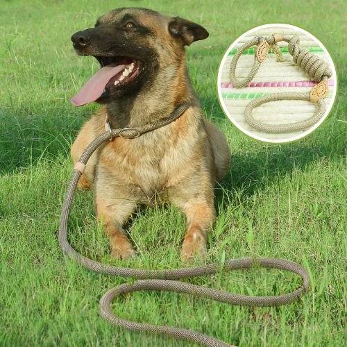 Laisse pour chien - lasso - ECO HARMONIE CANIN