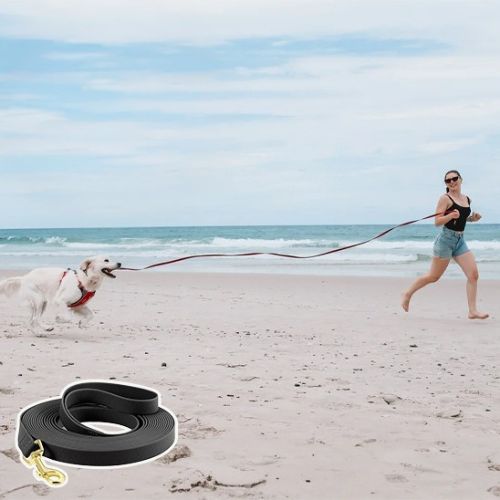Laisse pour chien / Longue - ECO HARMONIE CANIN