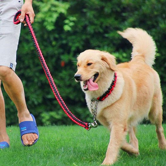 Laisse pour chien | Tressée - ECO HARMONIE CANIN