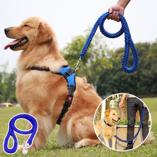 Laisse pour chien | Tressée - ECO HARMONIE CANIN