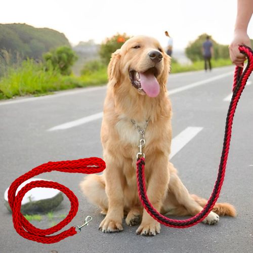 Laisse pour chien | Tressée - ECO HARMONIE CANIN