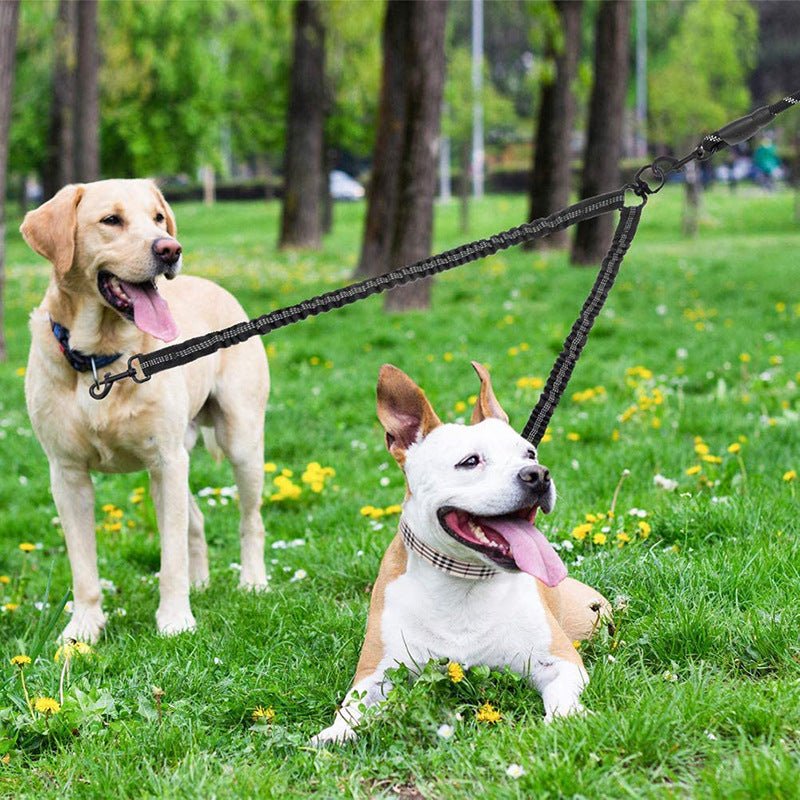 Laisses pour chien | Double - ECO HARMONIE CANIN
