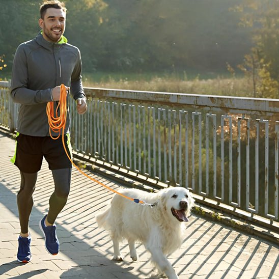Longe chiens | Robuste - ECO HARMONIE CANIN