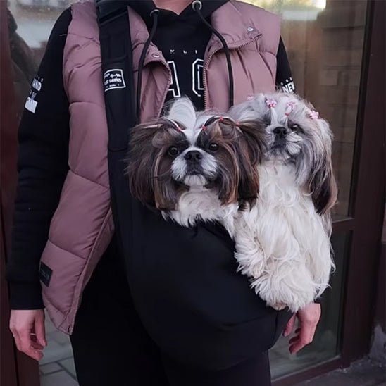 Sac a dos pour chien |confortable - ECO HARMONIE CANIN