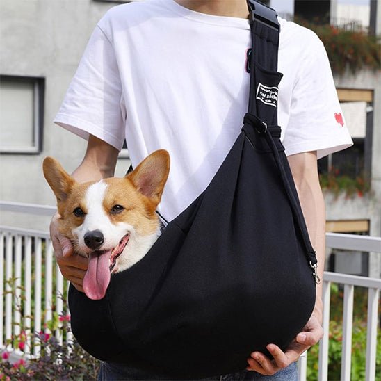 Sac a dos pour chien |confortable - ECO HARMONIE CANIN