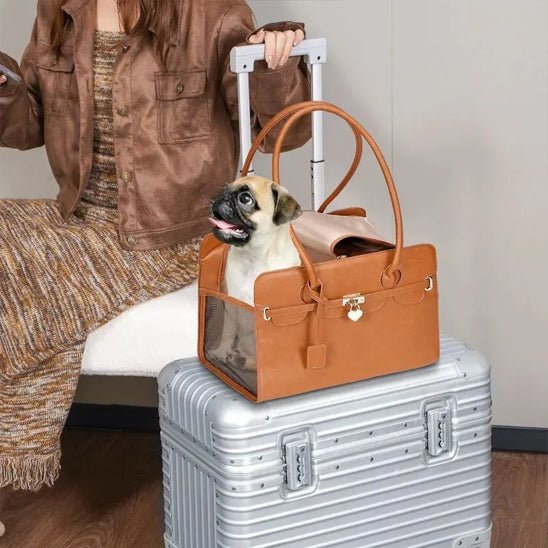 Sac a dos pour chien / Luxe - ECO HARMONIE CANIN