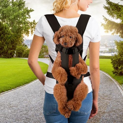 Sac a dos pour chien | Porte chien - ECO HARMONIE CANIN