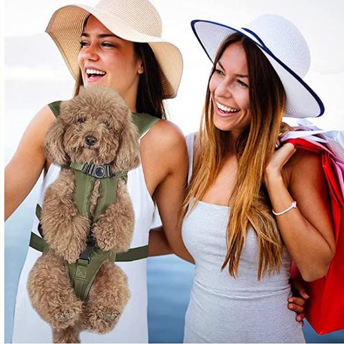 Sac a dos pour chien | Porte chien - ECO HARMONIE CANIN