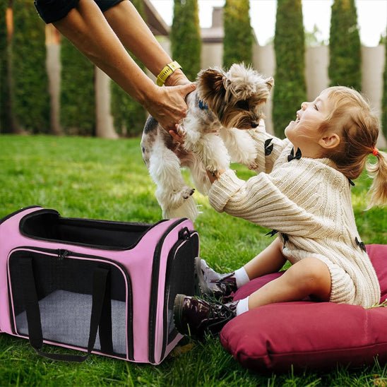 Sac transport chien|de voyage - ECO HARMONIE CANIN