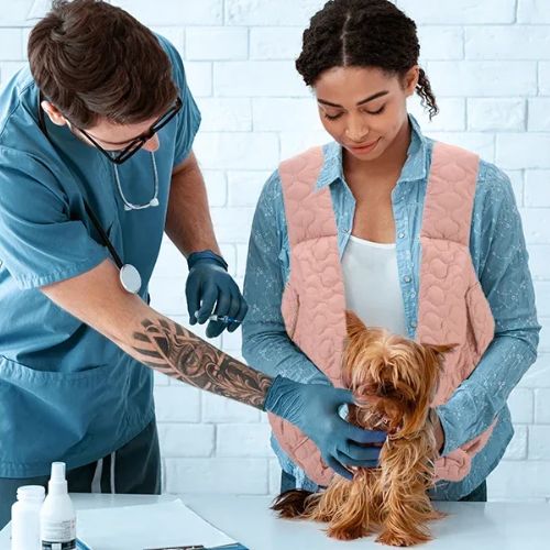 Sac transport chien | ventral - ECO HARMONIE CANIN