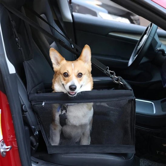 Siege auto pour chien | TravelProtect - ECO HARMONIE CANIN