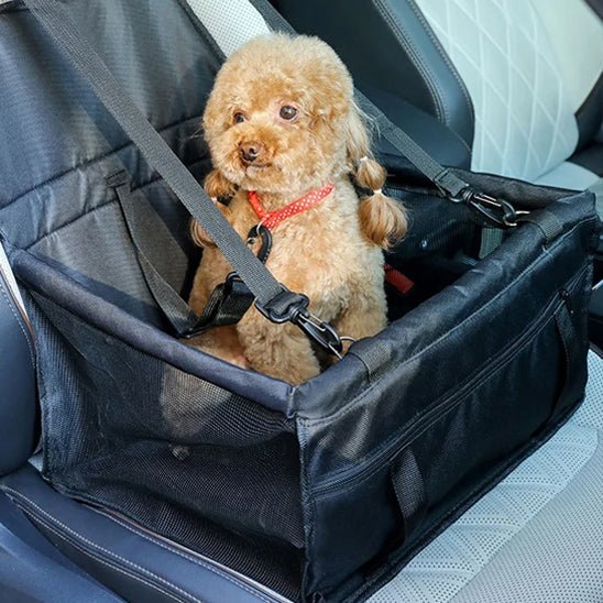 Siege auto pour chien | TravelProtect - ECO HARMONIE CANIN