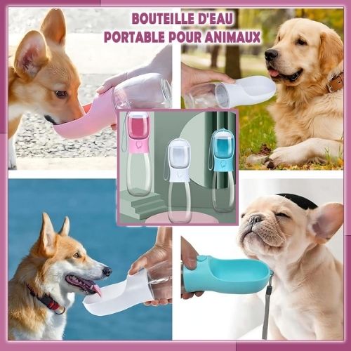 MagiGourde™ | Bouteille portable 2en 1 - ECO HARMONIE CANIN