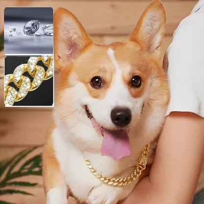 Collier chien | chaîne bijoux - ECO HARMONIE CANIN
