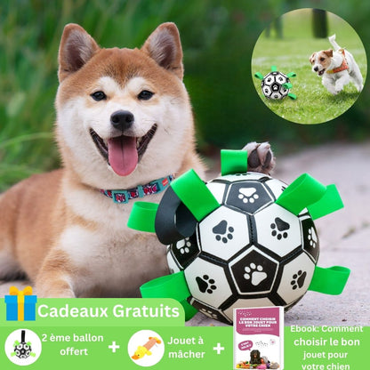 FunnyBall ™ | Ballon de football pour chiens - ECO HARMONIE CANIN