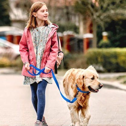 Laisse chien | Légère - ECO HARMONIE CANIN
