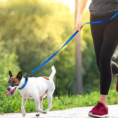 Laisse chien | Légère - ECO HARMONIE CANIN