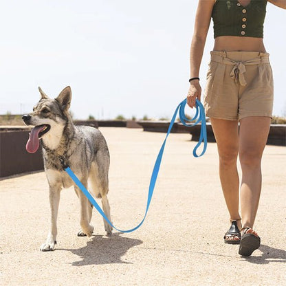 Laisse chien | Légère - ECO HARMONIE CANIN