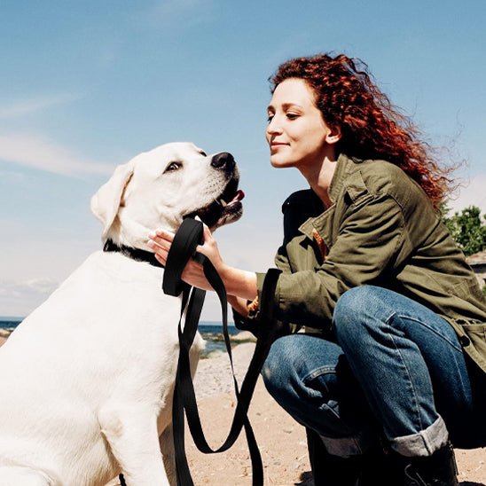 Laisse chien | Légère - ECO HARMONIE CANIN