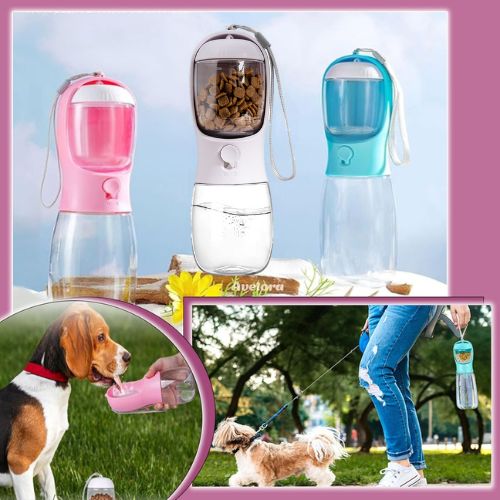 MagiGourde™ | Bouteille portable 2en 1 - ECO HARMONIE CANIN