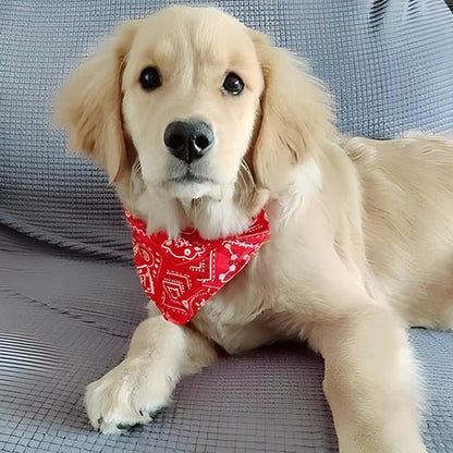 Bandana pour chien | ajustable - ECO HARMONIE CANIN