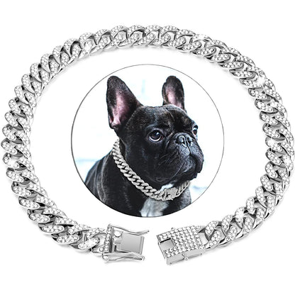 Collier chien | chaîne bijoux - ECO HARMONIE CANIN