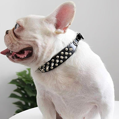 Collier chien cuir | clouté - ECO HARMONIE CANIN