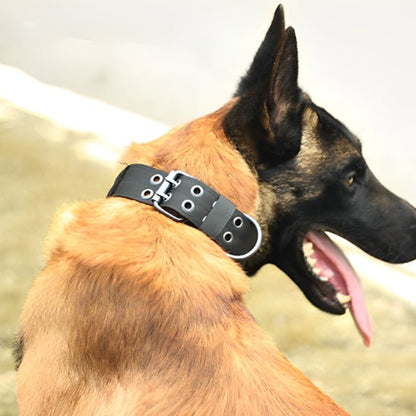 Collier chien | rembourrée - ECO HARMONIE CANIN