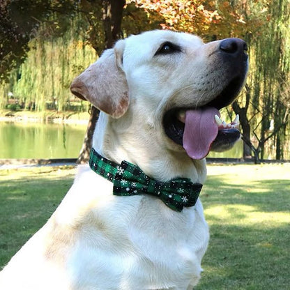 Collier pour chien | Papillon - ECO HARMONIE CANIN