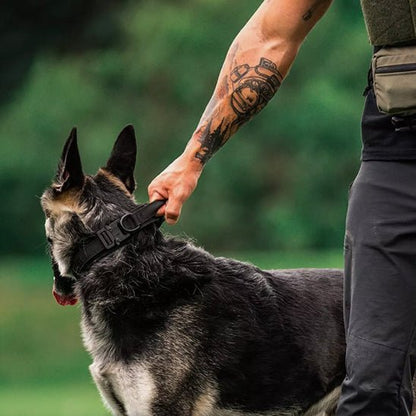 Collier pour chien | Tactique - ECO HARMONIE CANIN