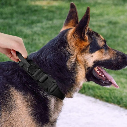 Collier pour chien | Tactique - ECO HARMONIE CANIN