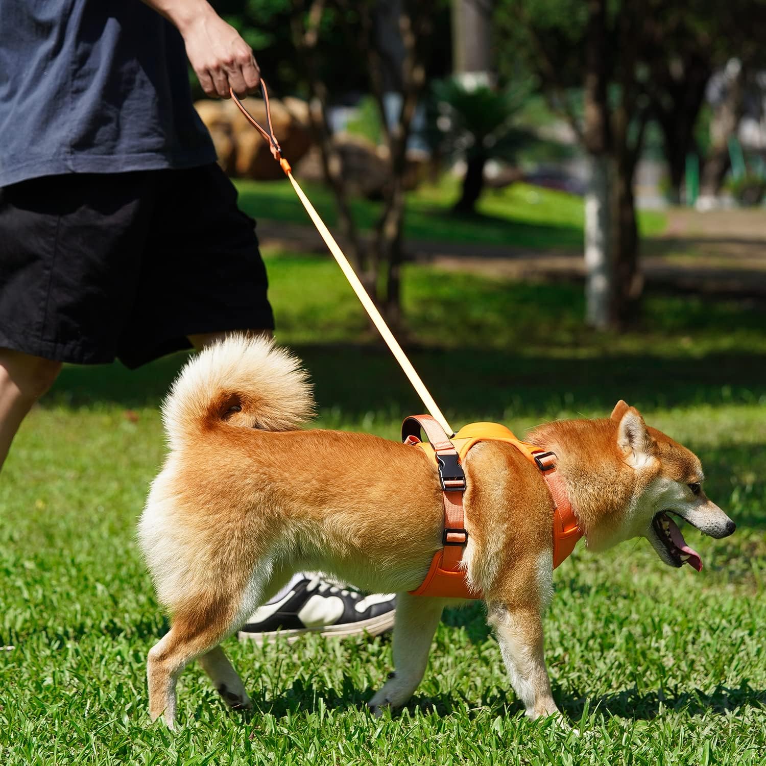 harnais-chien-SafeWalk-orange