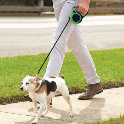 Laisse chien rétractable - ECO HARMONIE CANIN