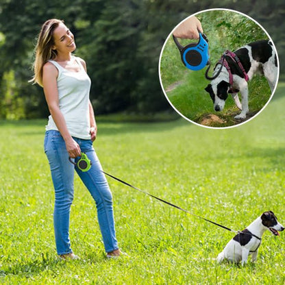 Laisse chien rétractable - ECO HARMONIE CANIN