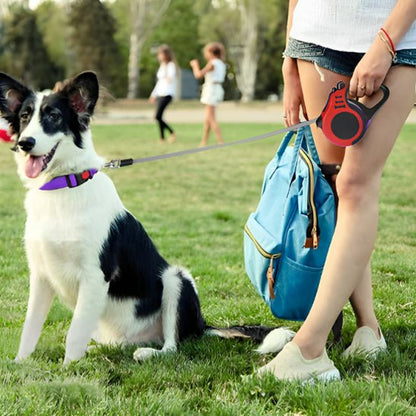 Laisse chien rétractable - ECO HARMONIE CANIN